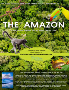 Take a Virtual Journey Through the Amazon